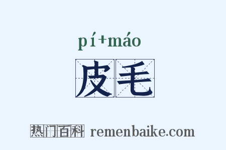 皮毛是什么意思的图片